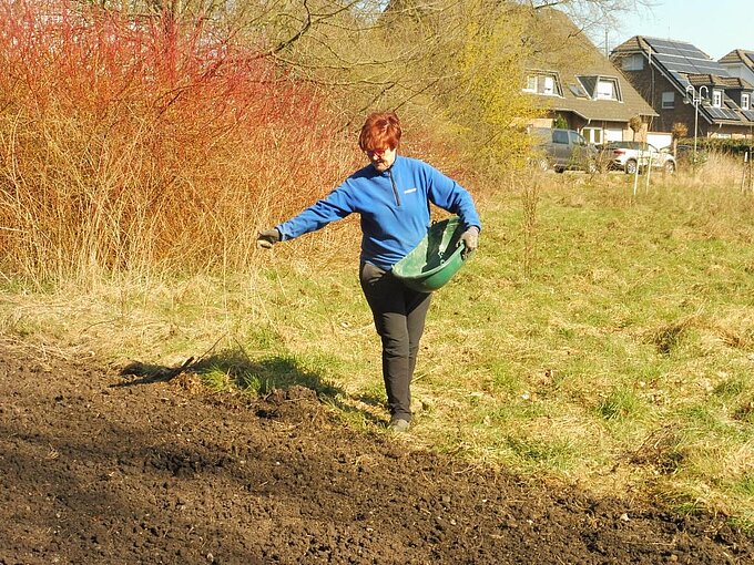 Spezieller Blumensamen für eine schmetterlingsfreundliche Wiese wird eingebracht. Foto: NABU Willich