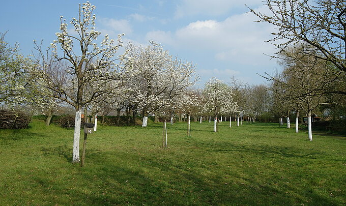 Foto: NABU Naturschutzhof