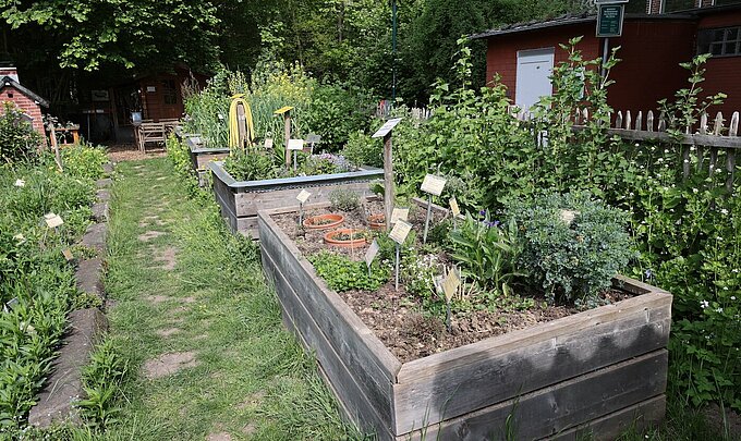 Naturerlebnisgarten an der Eva-Lorenz-Umweltstation. Foto: NABU Willich, Klaus Keipke