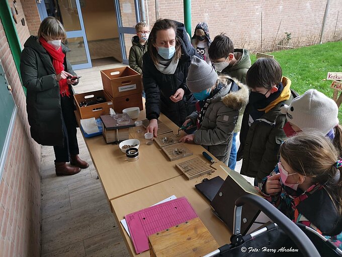 Die Schüler sehen wieviel unterschiedliche Insekten sich in den Nistplatten entwickeln. Foto: Harry Abraham